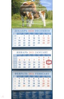 

Календарь квартальный на 2021 год "Год быка. Материнская любовь" (14119)