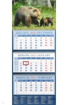 

Календарь квартальный на 2021 год "Медведица с медвежатами" (14142)