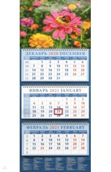 

Календарь квартальный на 2021 год "Божья коровка на цветке" (14145)