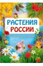 цена Растения России. Энциклопедия для детей