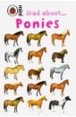 цена Ransford Sandy Mad about Ponies