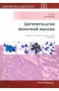 али с сибас э ред классификация бетесда для цитологической диагностики заболеваний щитовидной железы терминология критерии и пояснения Али Сьед З., Парвани А. В. Цитопатология молочной железы