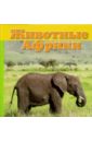 Животные Африки плакат животные африки