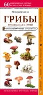 Грибы русских лесов и полей. Наглядный карманный справочник