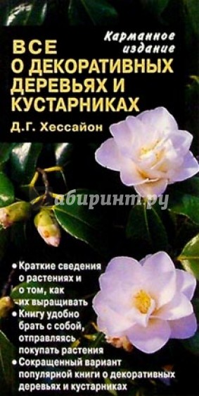 Все о декоративных деревьях и кустарниках