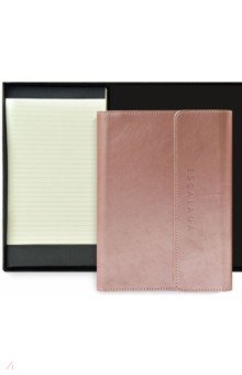 

Ежедневник-органайзер недатированный+ 2 смен.блока (96 листов, А5+), ШЕВРЕТ, розовый (52811)