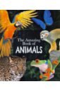 Leach Michael, Lland Meriel The Amazing Book of Animals mini chestnut opening cutting machine