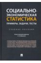 Социально-экономическая статистика. Примеры, задачи, тесты. Учебное пособие - Шаныгин Сергей Иванович, Верзилин Дмитрий Николаевич, Зуга Екатерина Игоревна