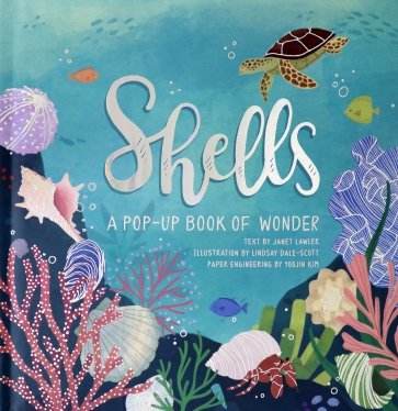 Shells. A Pop-Up Book of Wonder