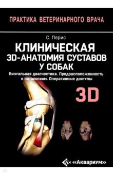  3D-   .  .   
