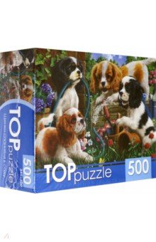 Puzzle-500 