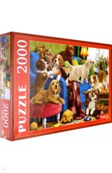 Puzzle-2000     (2000-3699)