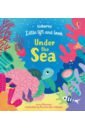 feldman thea mac fact read colourful coral reef Milbourne Anna Little Lift and Look. Under the Sea