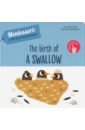 Piroddi Chiara The Birth of a Swallow