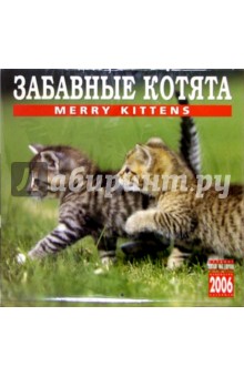 Календарь: Забавные котята 2006 год.
