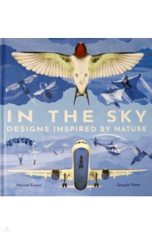 

In the Sky