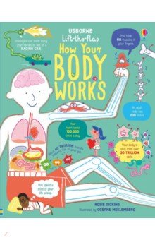 How Your Body Works