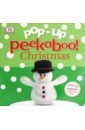 Pop-Up Peekaboo! Christmas hughes shirley snow in the garden a first book of christmas