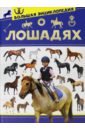 Спектор Анна Артуровна Большая энциклопедия о лошадях большая книга о лошадях