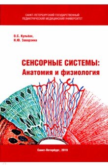 Сенсорные системы. Анатомия и физиология