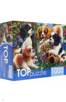 Puzzle-1000 Озорные щенки спаниелей (ХТП1000-2159).