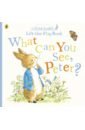 Woolley Katie What Can You See Peter? peter rabbit animation best friends sticker book