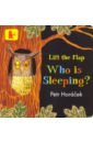 Who Is Sleeping? hide and peek a lift the flap board book