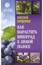 Курдюмов Николай Иванович Как вырастить виноград в любой полосе курдюмов николай иванович как можно выращивать виноград