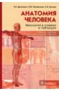 Дьяченко Екатерина Евгеньевна, Полянская Людмила Иосифовна, Катаев Станислав Иванович Анатомия человека. Миология в схемах и таблицах. Учебное пособие