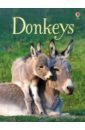 Maclaine James Donkeys