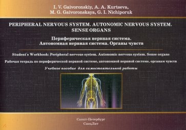 Периферическая нервная система.Раб тетр на англ.яз