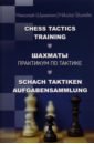 Шумилин Николай Шахматы. Практикум по тактике нанн джон шахматы практикум по тактике и стратегии