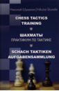 Шумилин Николай Шахматы. Практикум по тактике шахматы практикум по тактике