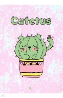       /  Catctus 6