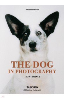 Merritt Raymond - The Dog in Photography 1839–Today