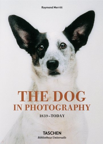 The Dog in Photography 1839–Today