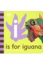 I is for Iguana