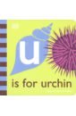 U is for Urchin kesha animal vinyl u s a