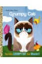 The Little Grumpy Cat that Wouldn't green linda in little stars