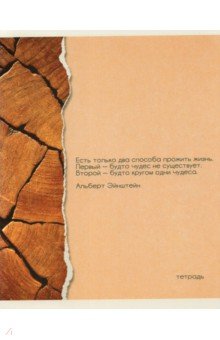 

Тетрадь "Важные мысли", А5, 96 листов, линия, в ассортименте (ТЛ2Л967276)