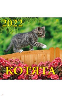 Zakazat.ru: Календарь на 2022 год Котята (70205).