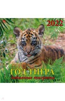 Zakazat.ru: Календарь на 2022 год Год тигра. Забавные тигрята (70223).