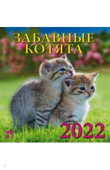 Zakazat.ru: Календарь на 2022 год Забавные котята (30205).