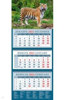 Zakazat.ru: Календарь квартальный на 2022 год Год тигра. Могучий властелин джунглей (14203).