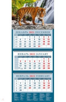 Zakazat.ru: Календарь квартальный на 2022 год Год тигра. Полосатый красавец (14209).