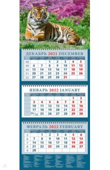 Zakazat.ru: Календарь квартальный на 2022 год Год тигра. Спокойствие и сосредоточенность (14215).