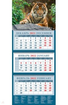 Zakazat.ru: Календарь квартальный на 2022 год Год тигра. Симпатичный хозяин джунглей (14217).