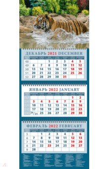 Zakazat.ru: Календарь квартальный на 2022 год Год тигра. Приятное купание (14221).