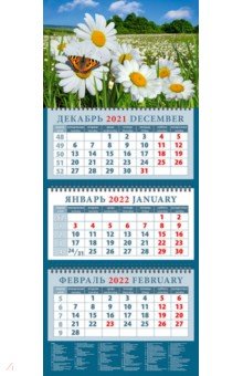 Zakazat.ru: Календарь квартальный на 2022 год Пейзаж с ромашками и бабочкой (14231).