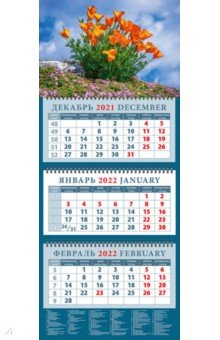 Zakazat.ru: Календарь квартальный на 2022 год Оранжевые маки (14233).